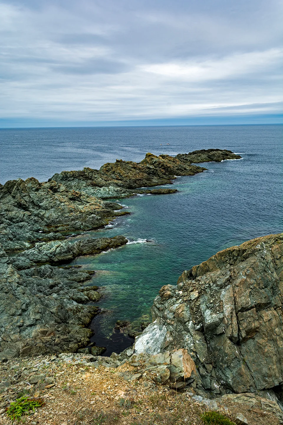 Twillingate 20