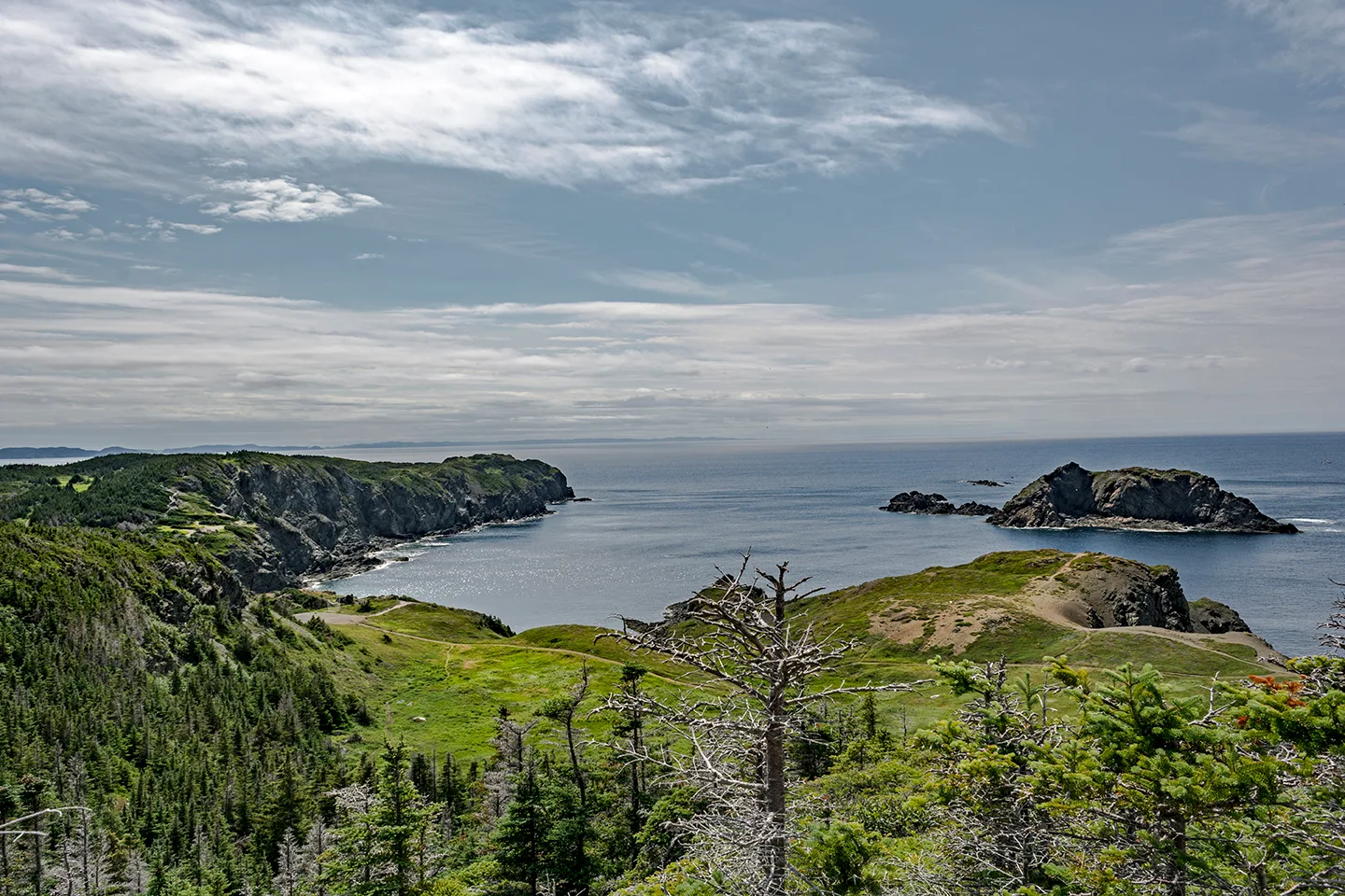 Twillingate 25