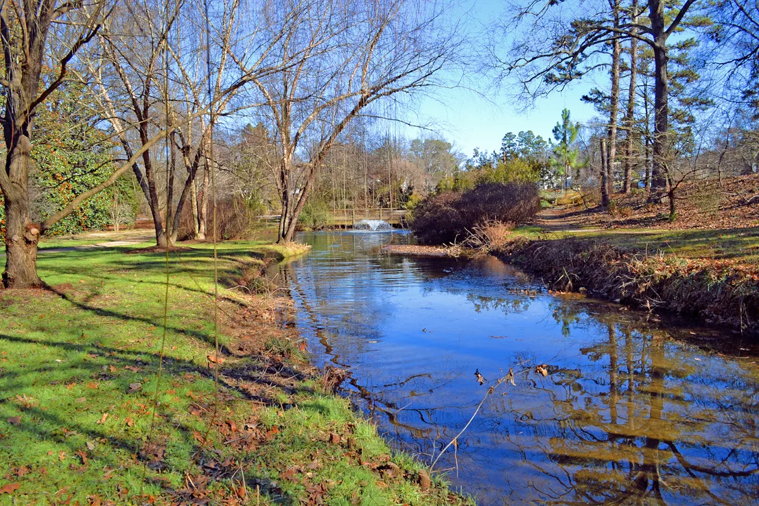 Hurley Park Stream 3