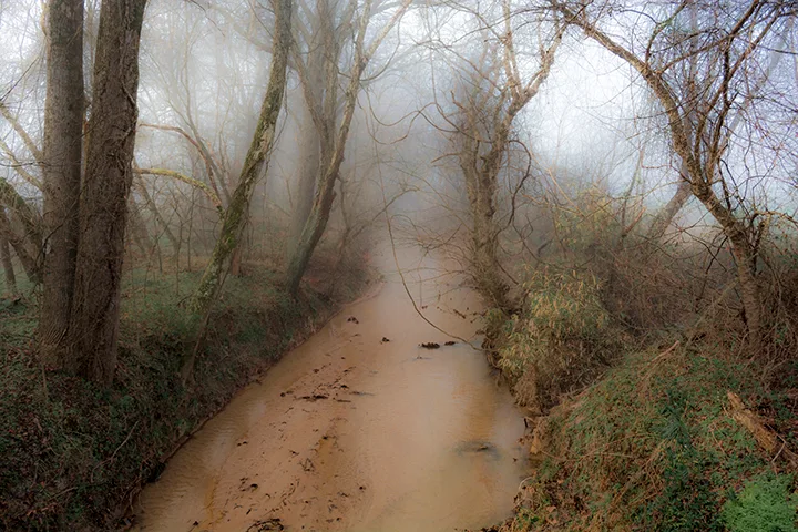 Fanniesloan 2015 Fog 14