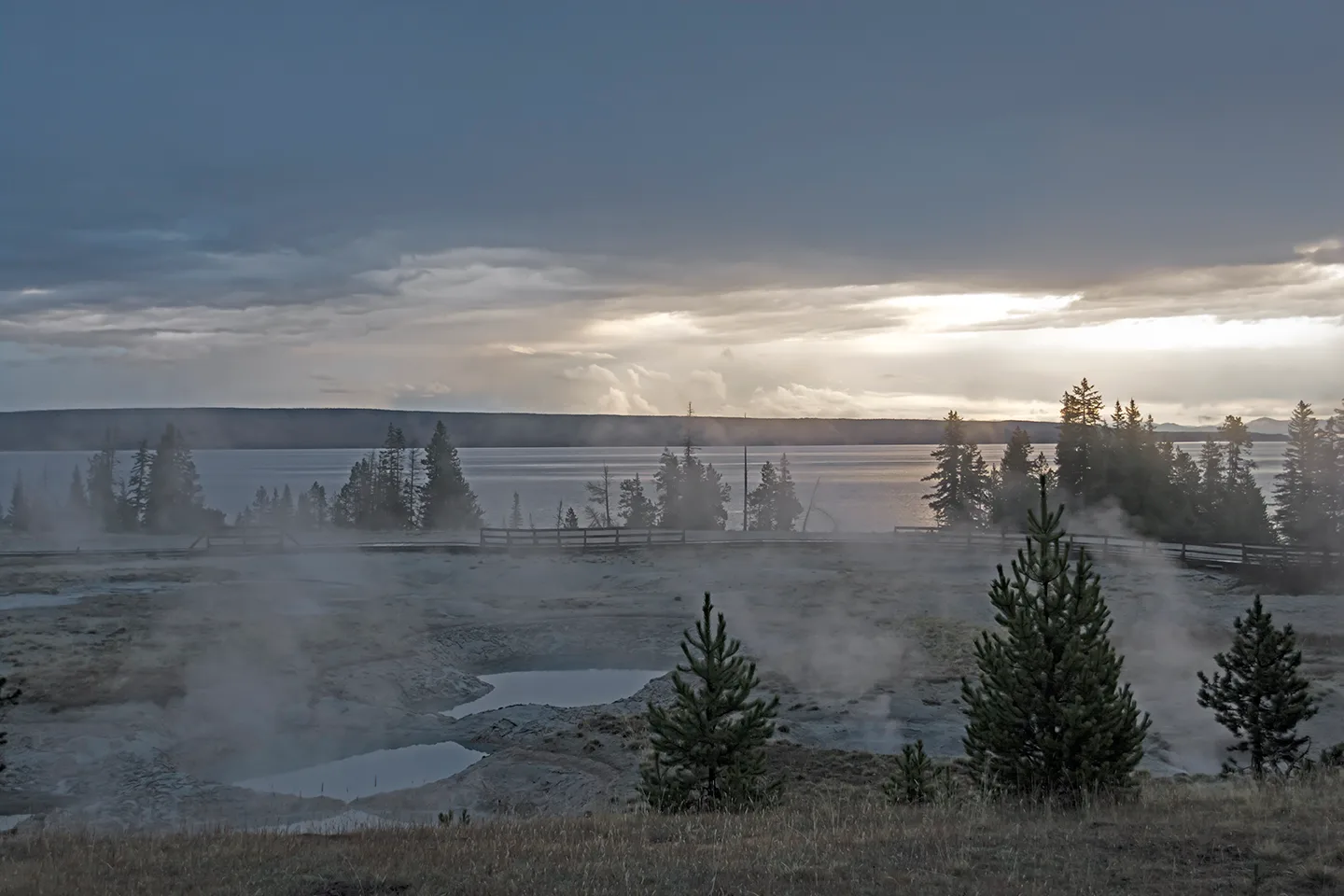 Yellowstone 22