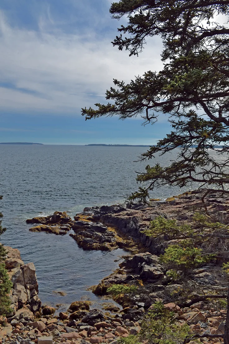 Acadia Shore 2