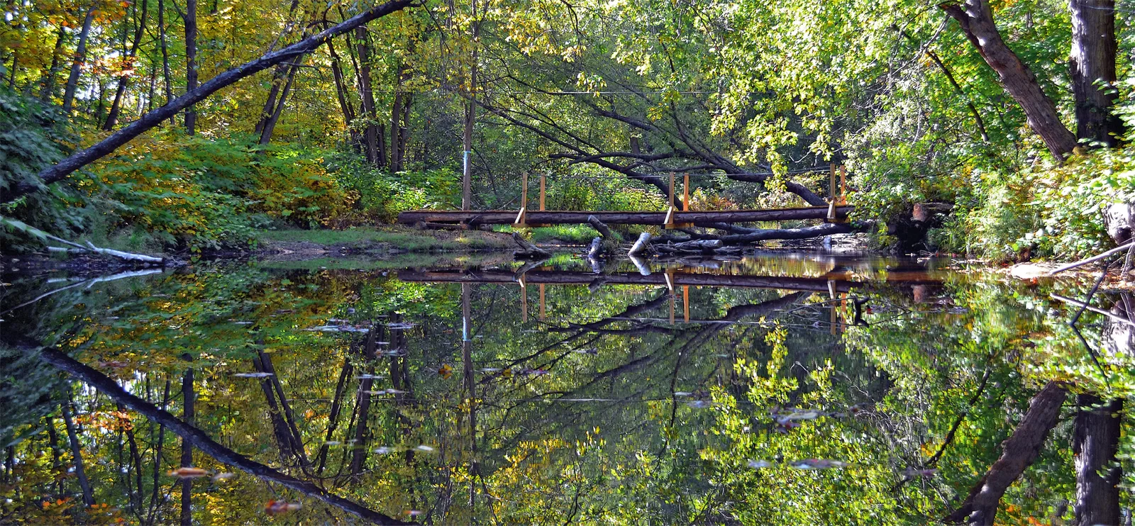 Bridge Reflection