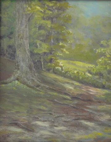 Hurley Community Park Trail