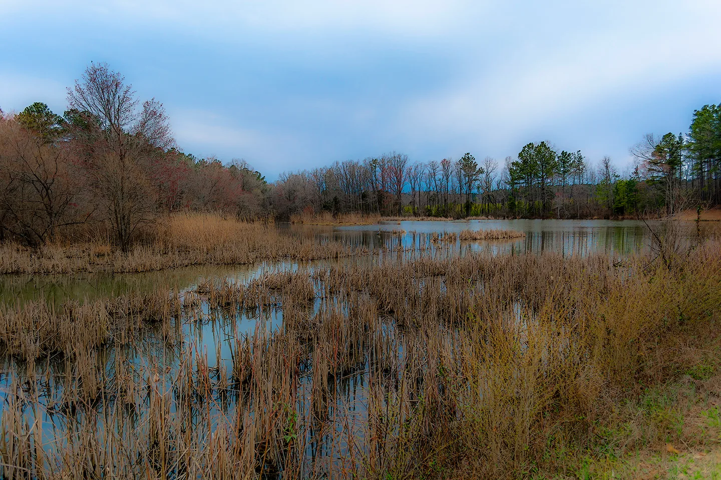 Wildlifeaccessmar 2019 Blur 5