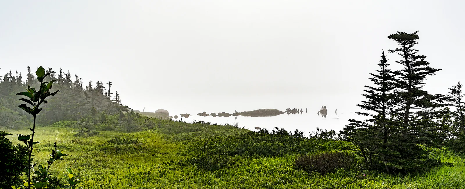 PortAuxBasqueReturn 3