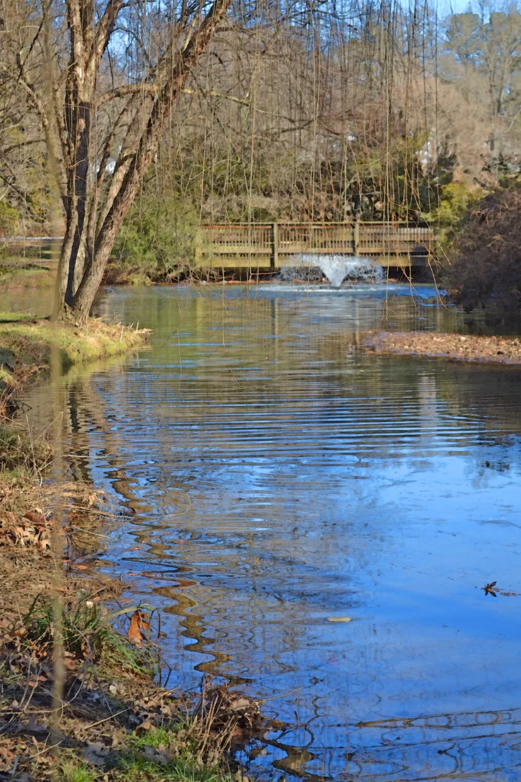 Hurley Park Fountain