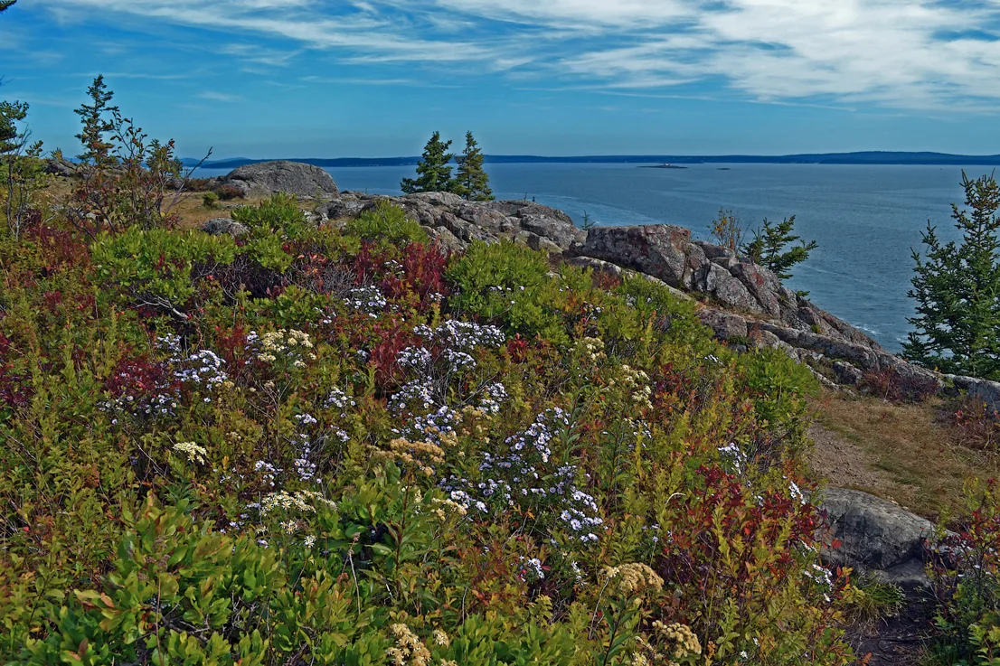 Acadia Shore Fall 1-17
