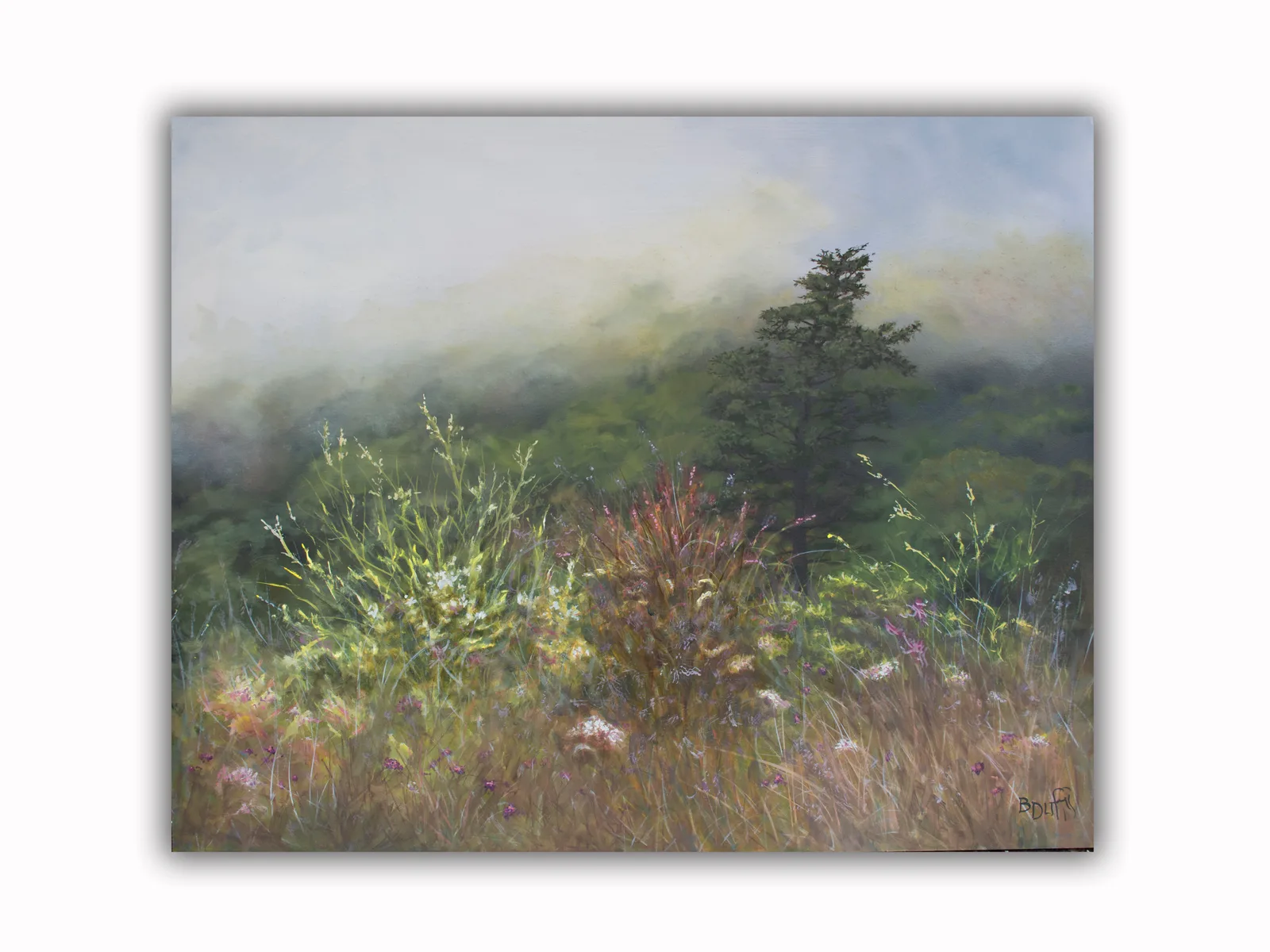 Blue Ridge Parkway Fog