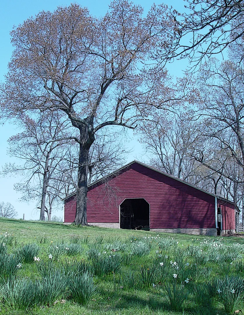 Red Barn Ink Outline