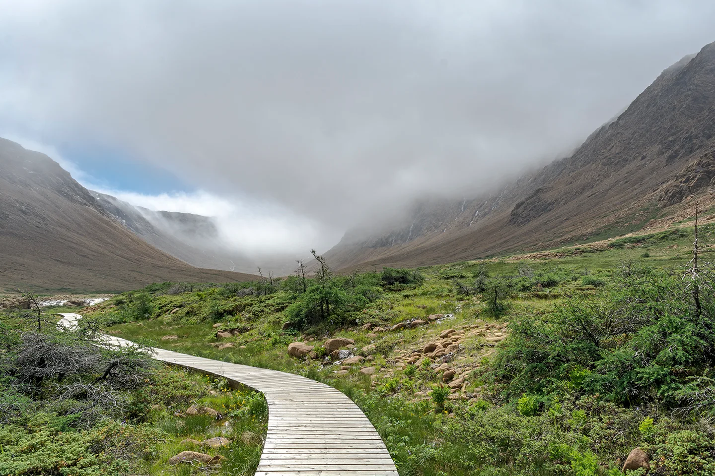 Newfoundlandtableland 5