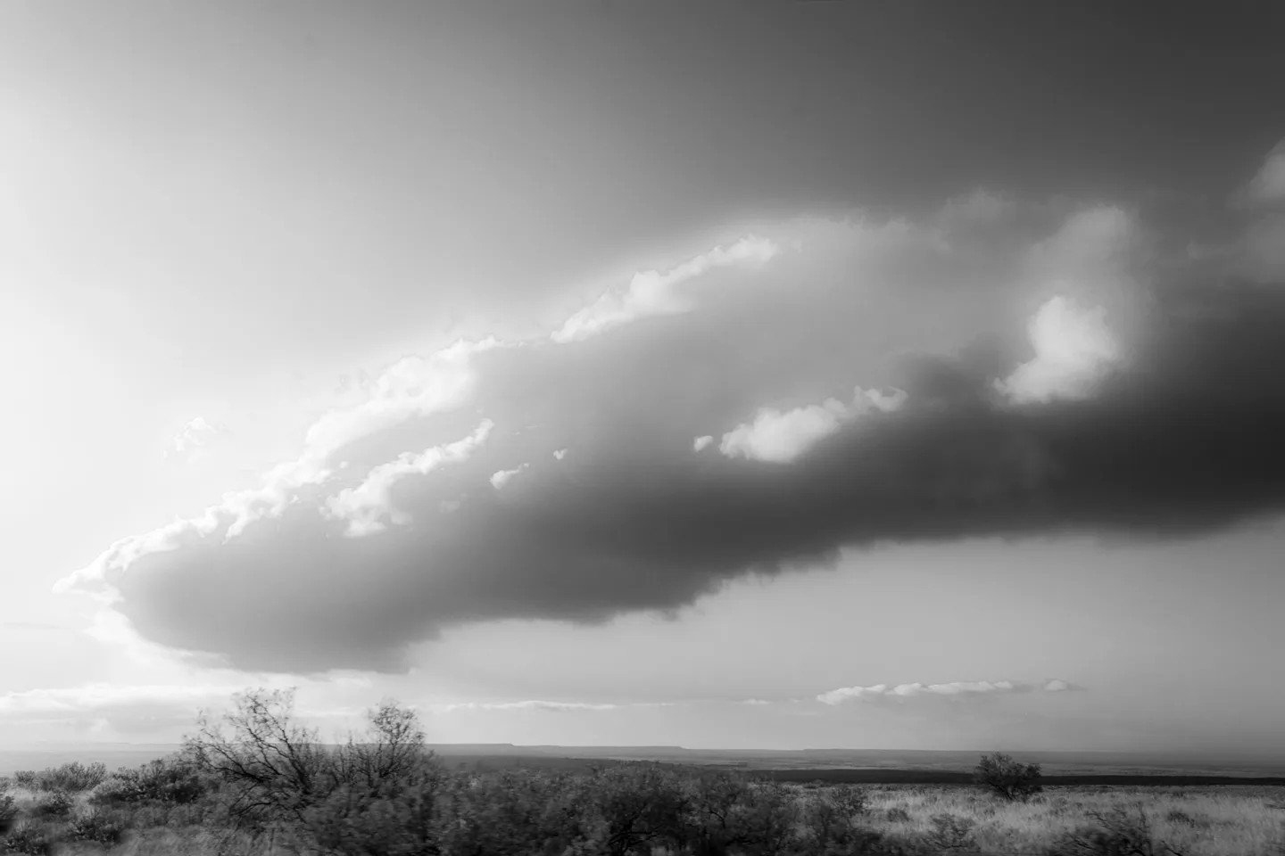 texasI 40 70 mpg 5 bw