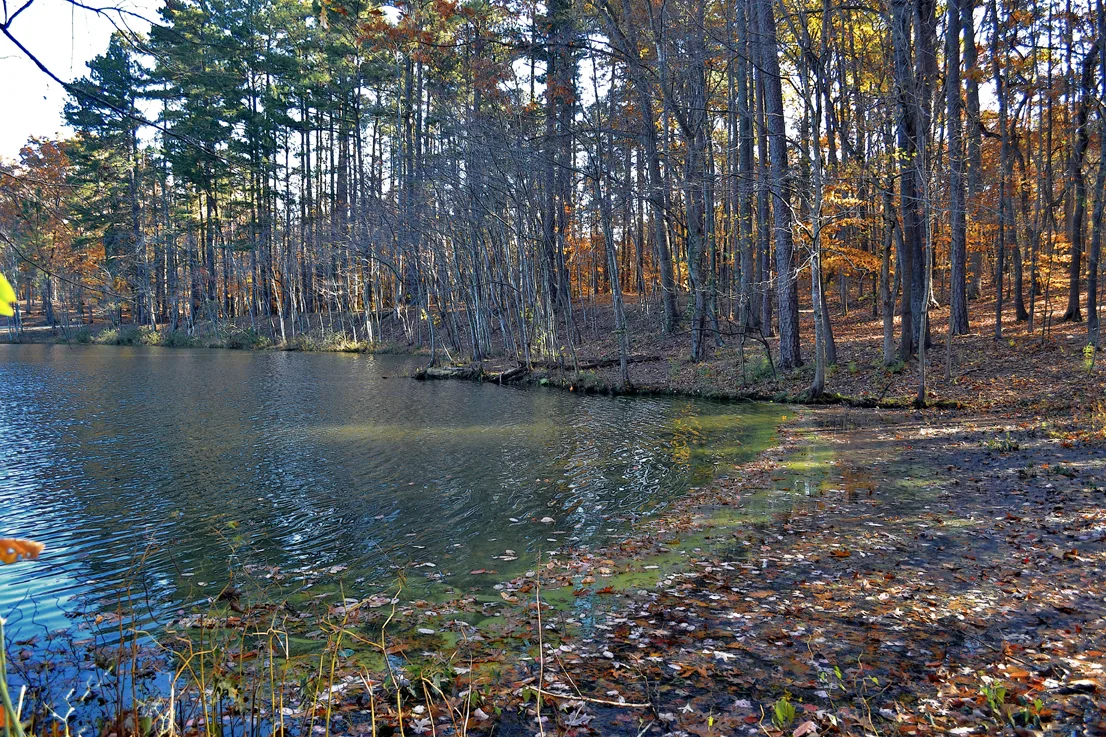 Lake Corriher 2014-6