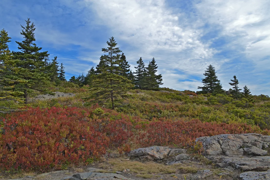 Acadia Shore Fall 1-16