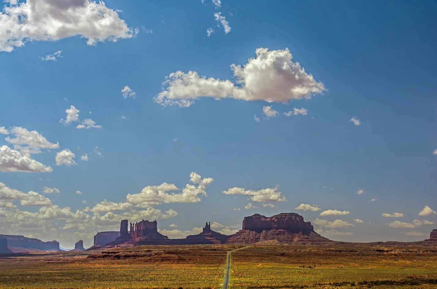 Forrest 1 Utah 163 2