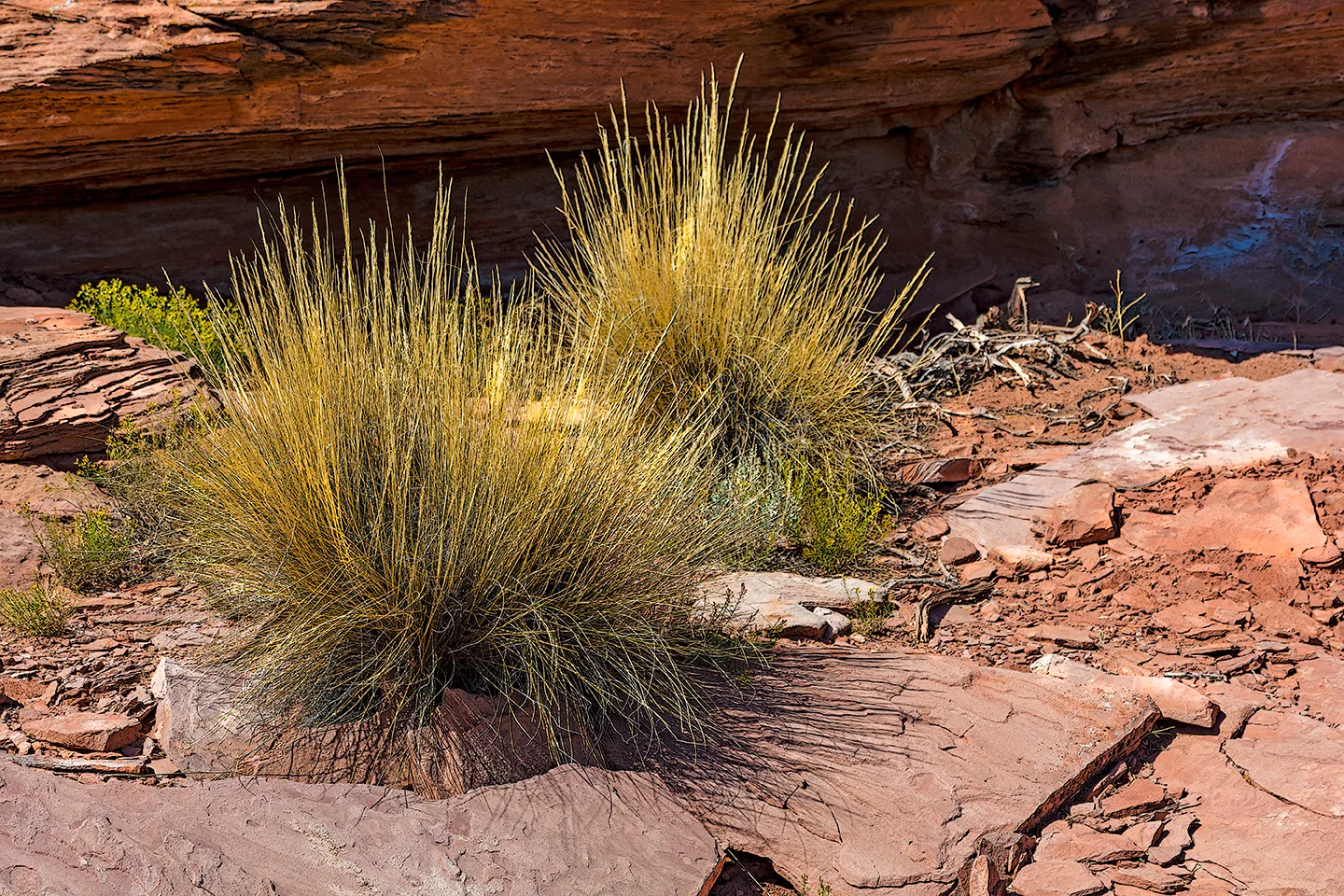 CanyonlandsNationalPark 23