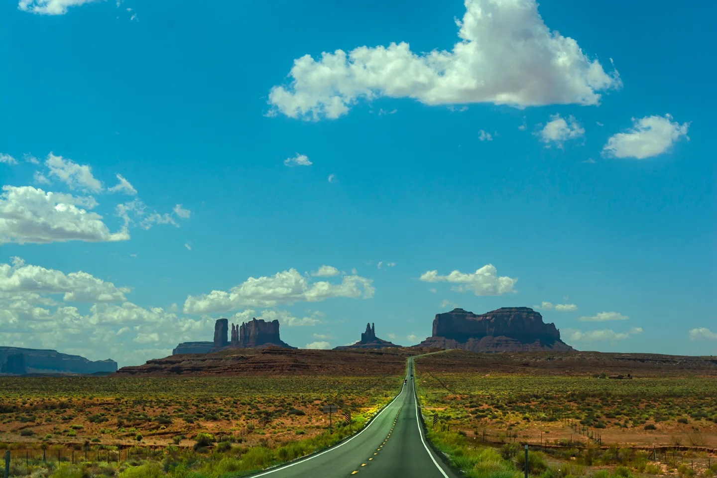 Forrest 1 Utah 163 1