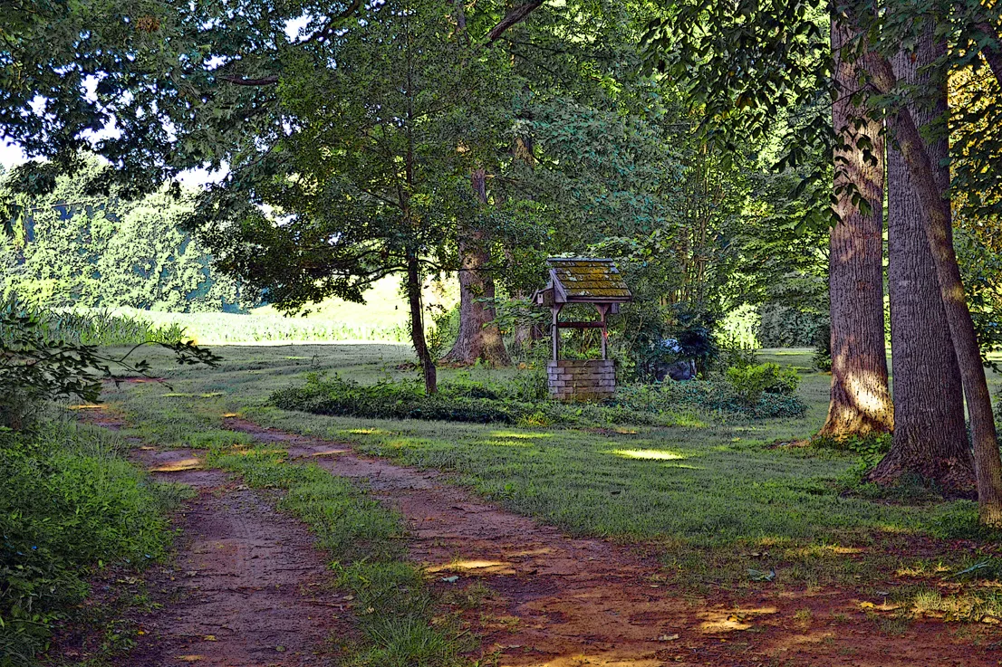 Owen Harrison House 8