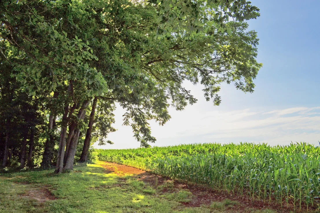 OwenHarrisonHouse 14