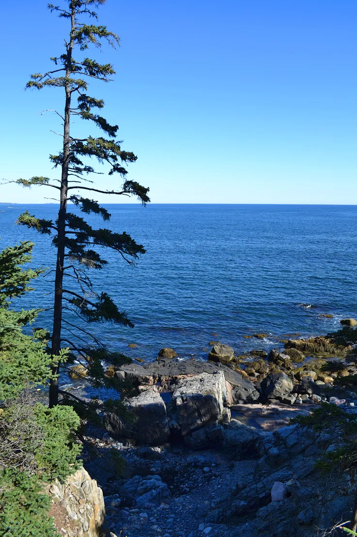 Acadia Shore Fall 1-4