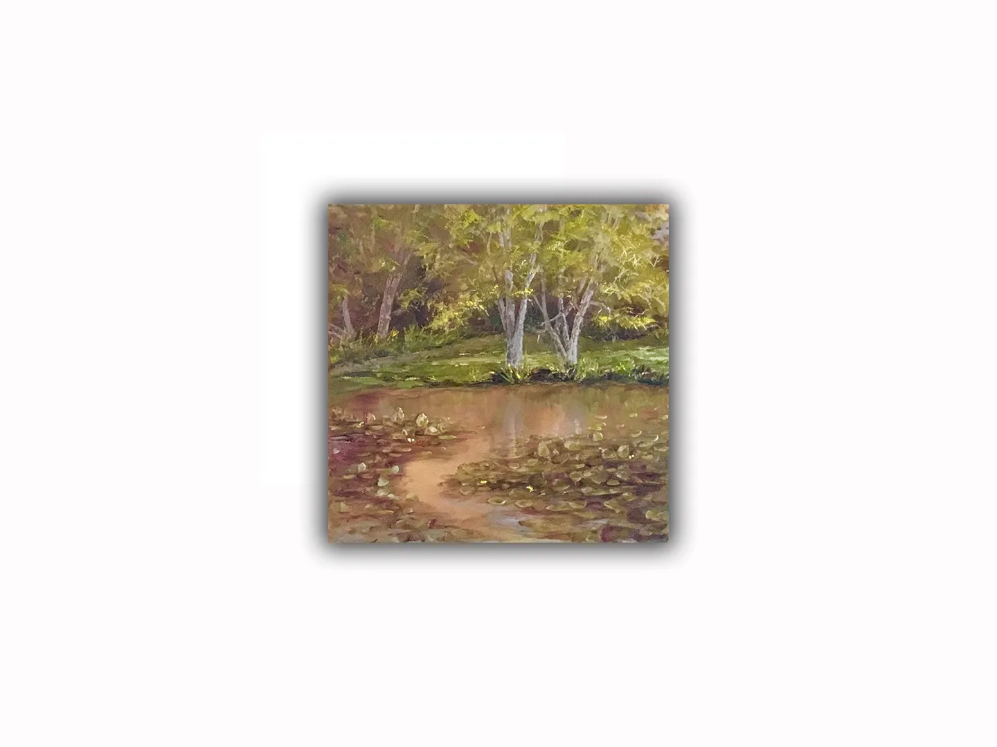 Dannicholassummertemp 72