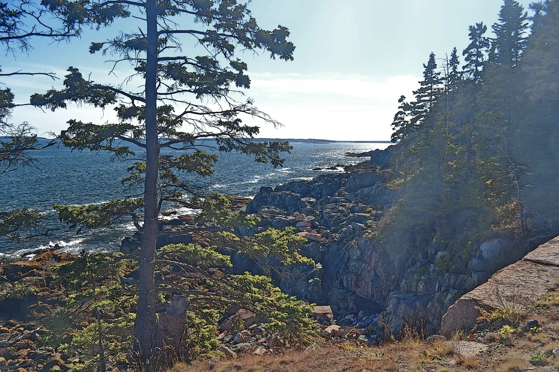 Acadia Shore Fall 1-23