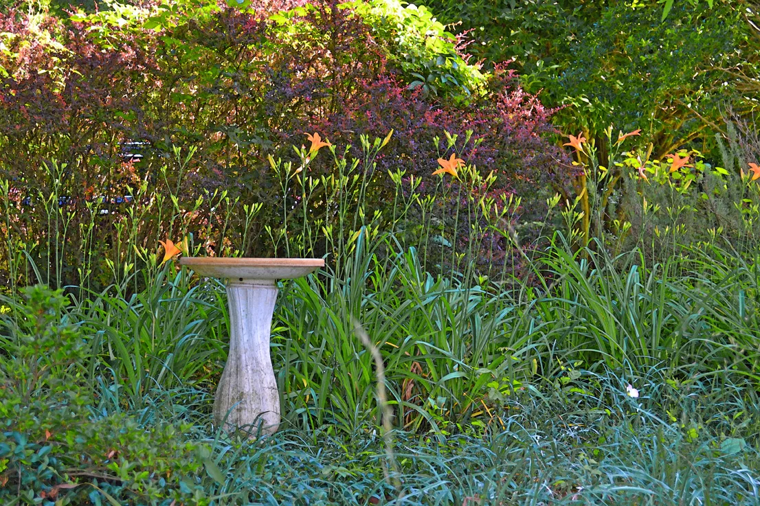 OwenHarrisonHouse 12