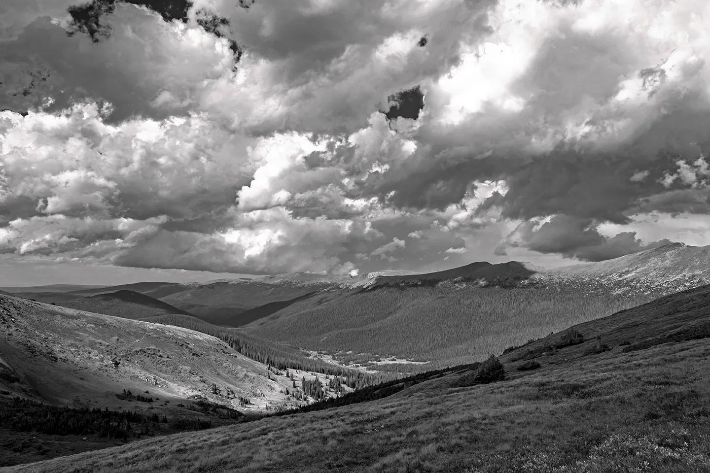 Rockymtn 25 B&W