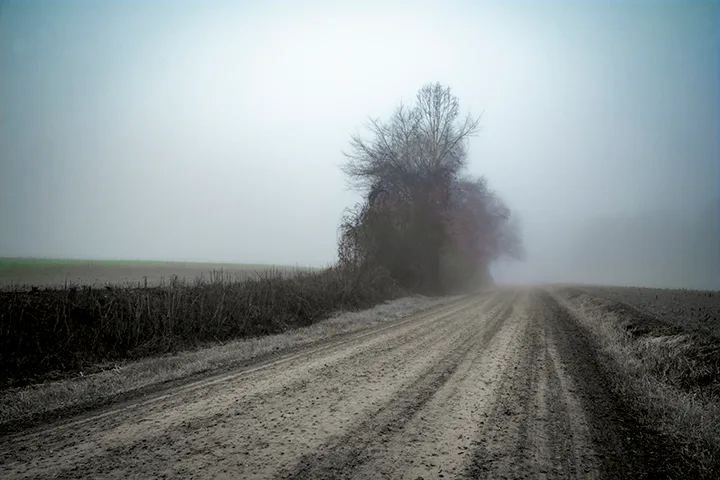 Fanniesloan 2015 Fog 6
