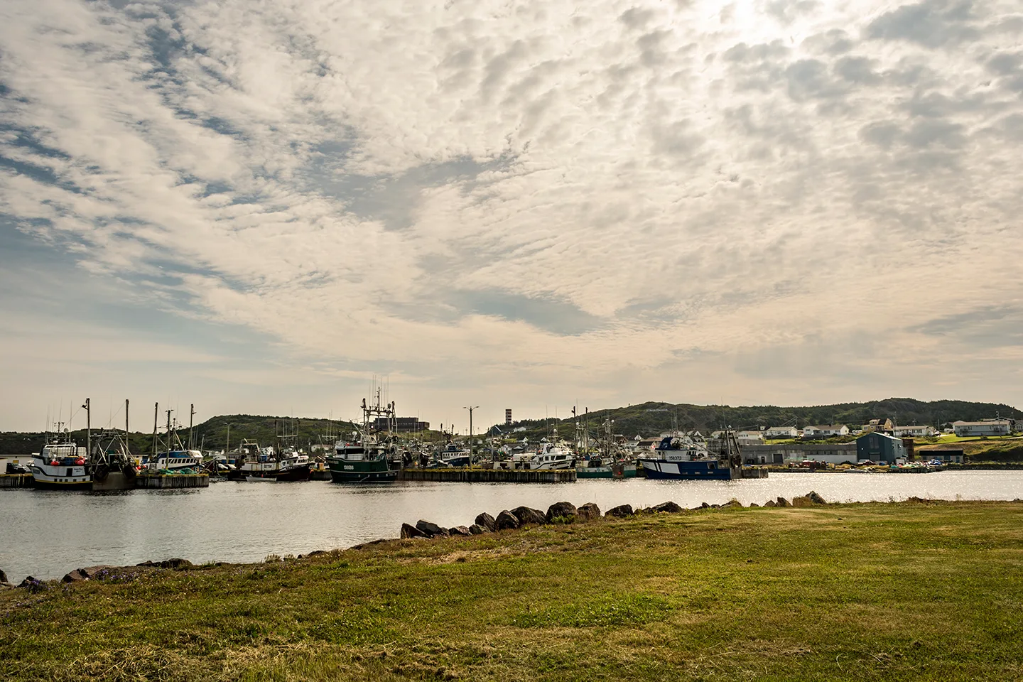 Twillingate 67