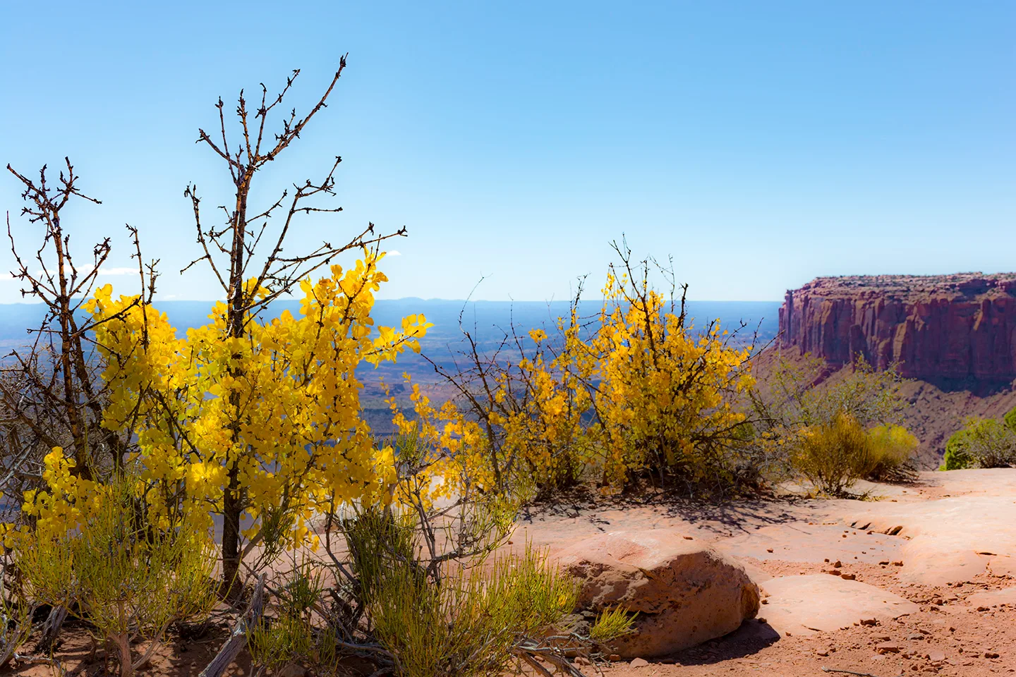 CanyonlandsNationalPark 22