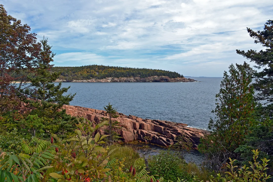 Acadia Shore Fall 1-19