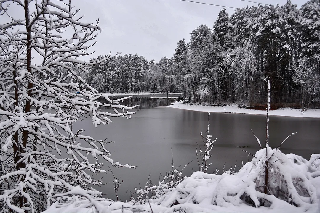 Snow 2015 Pond
