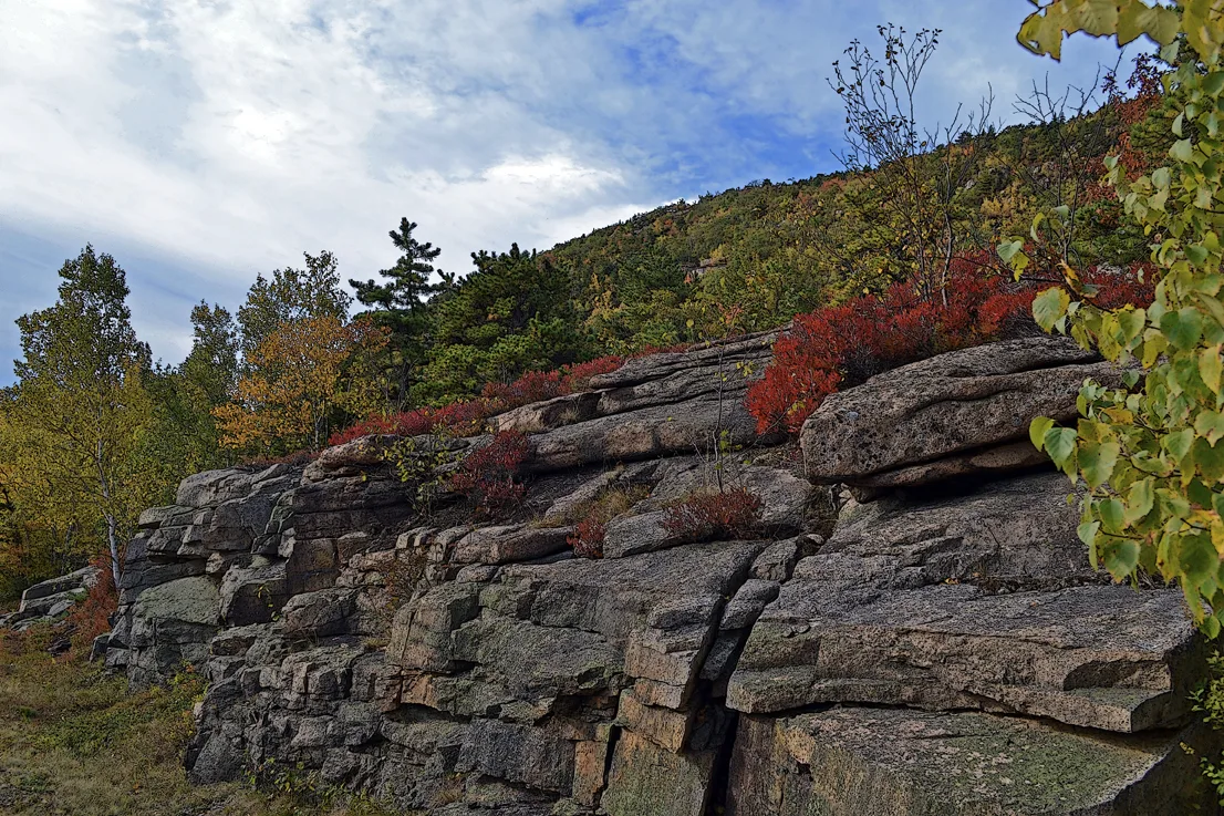Acadia Rocks Fall 1-2