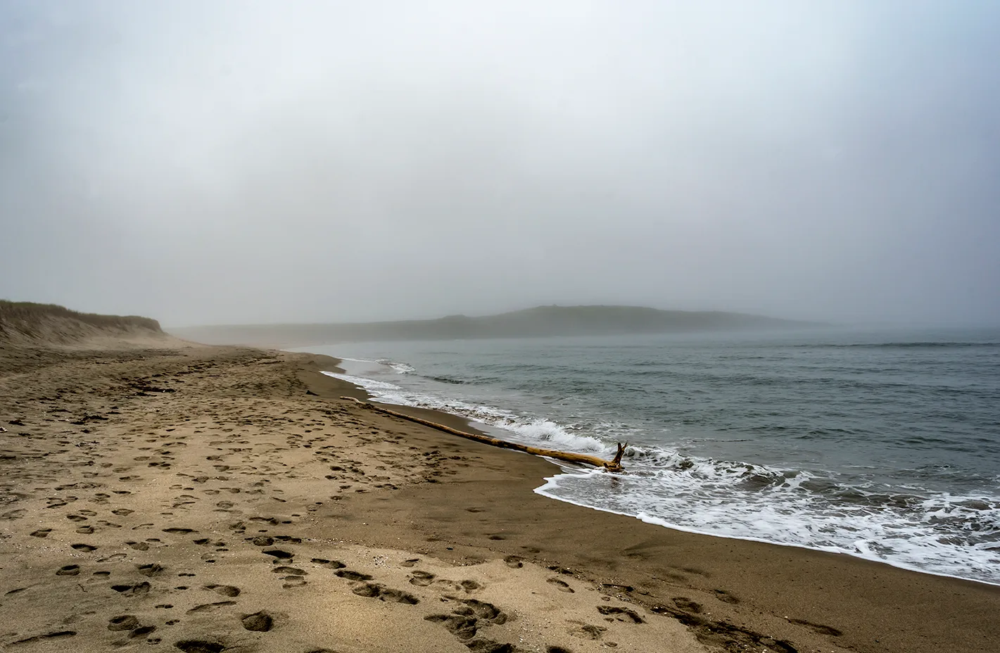 PortAuxBasqueReturn 11