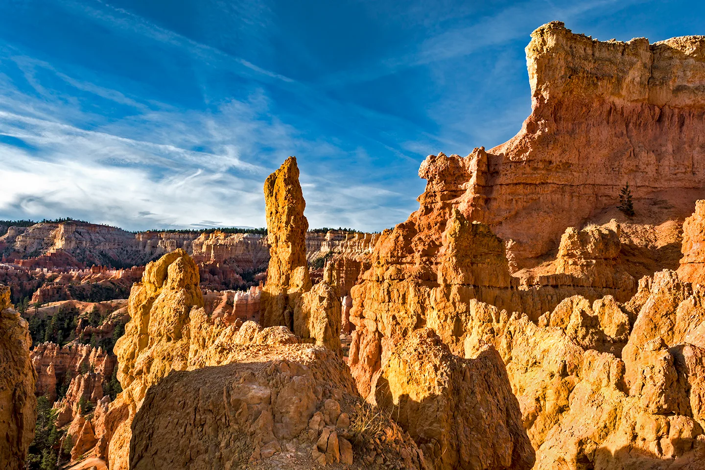 BryceNationalPark 14