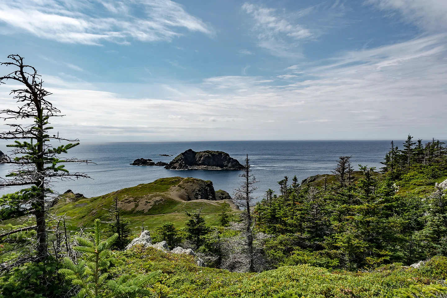 Twillingate 27