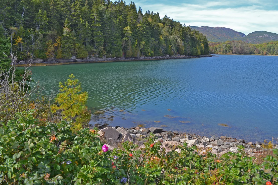 Acadia Shore 6