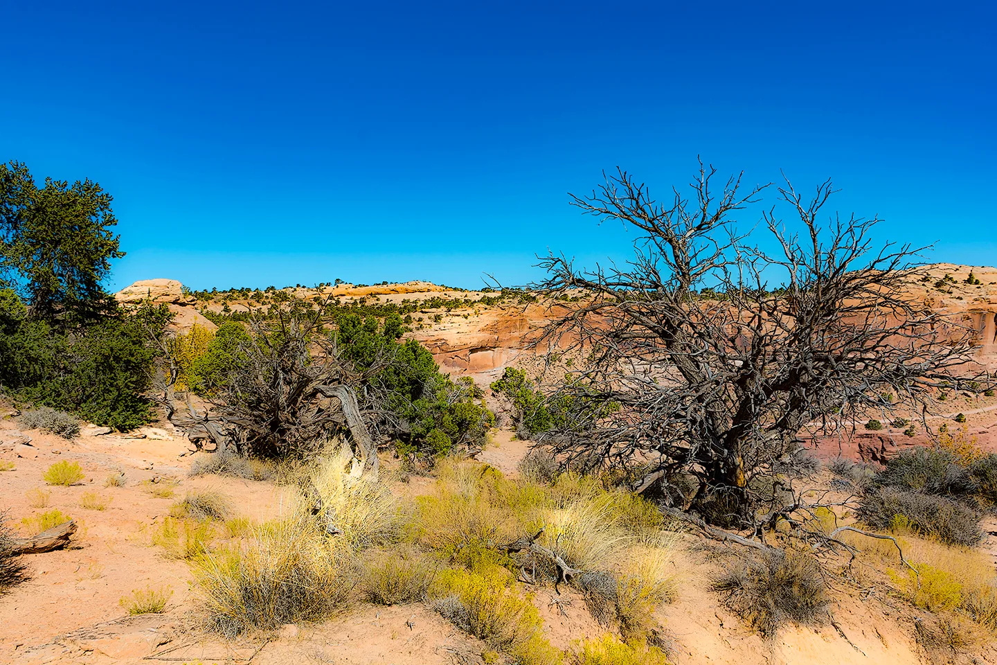 CanyonlandsNationalPark 4