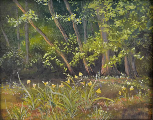 Daylilies at the creek