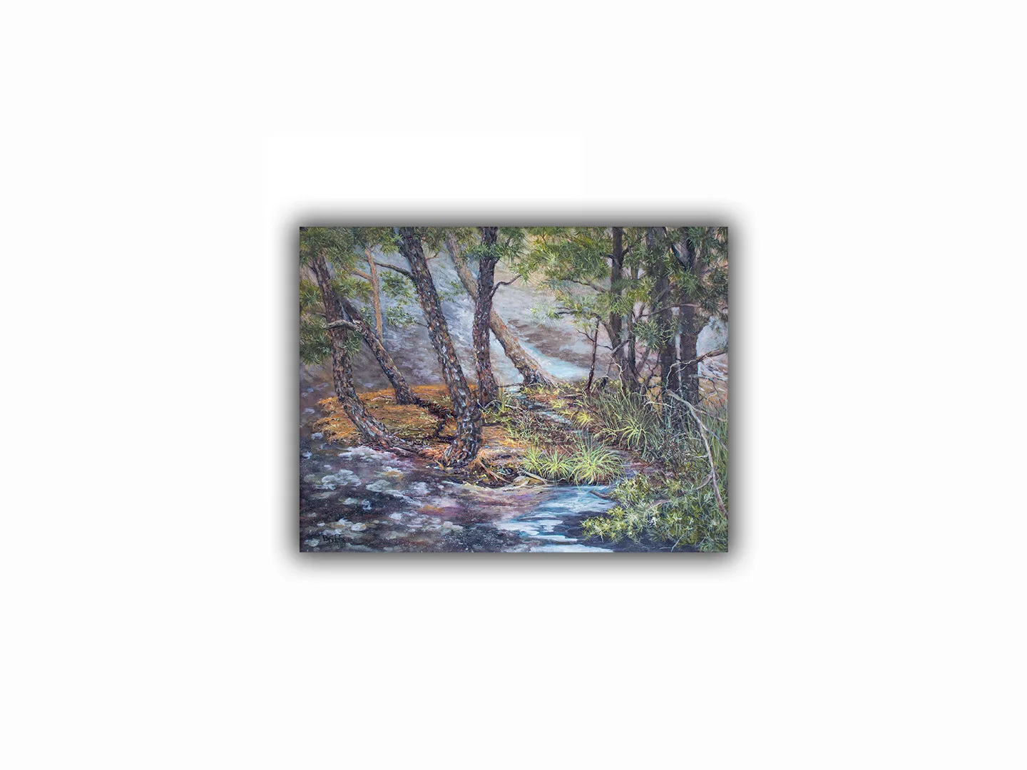 Stone Mountain Summit 1