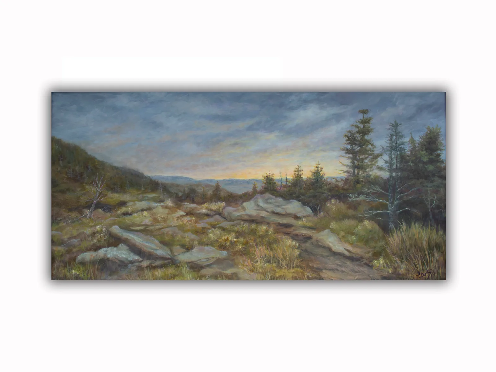 Grandfather Mountaintop 1