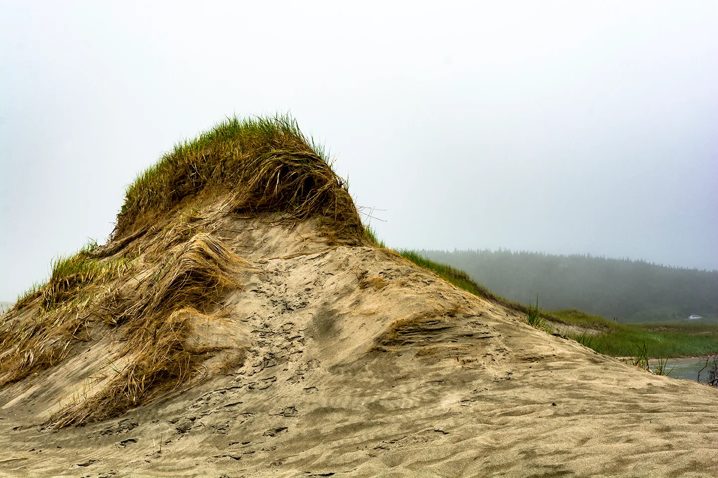 PortAuxBasqueReturn 18