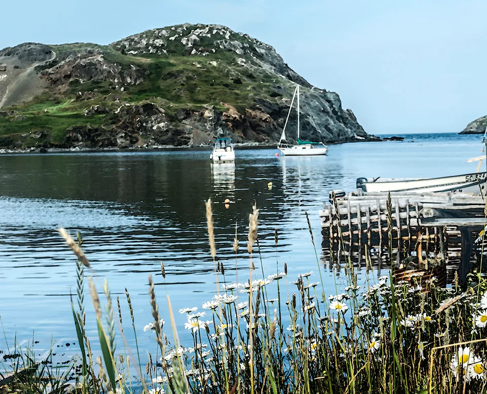 Twillingate 56