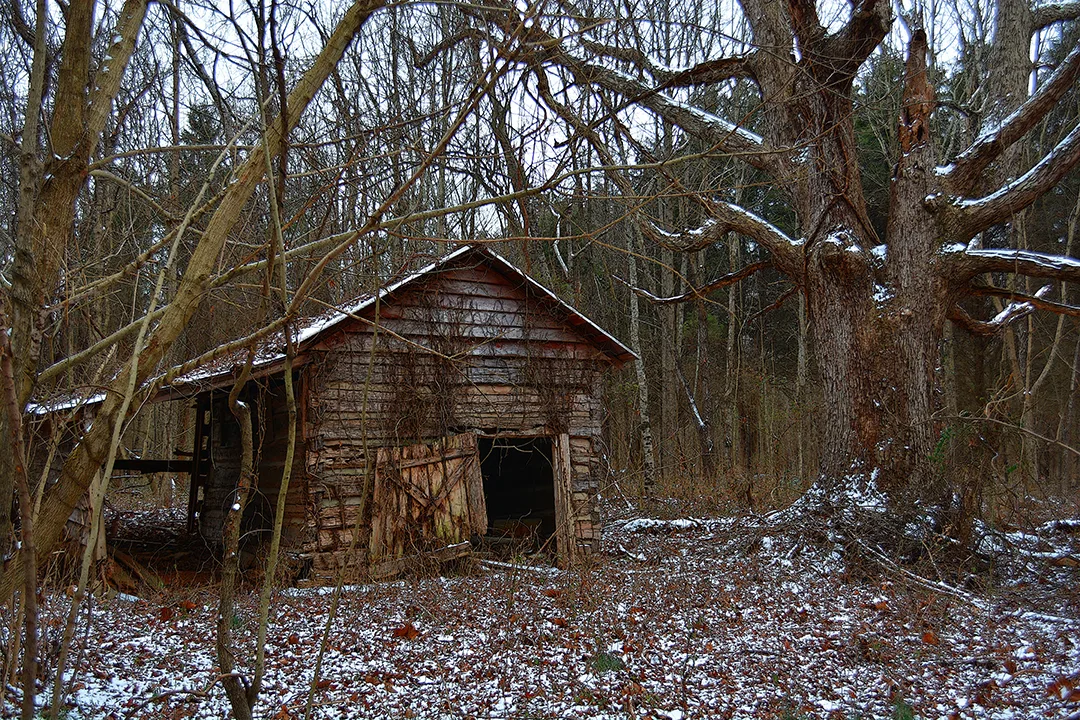 Snow 2015 Stanback Barn
