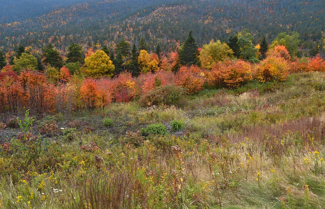 New Hampshire Mtns 2