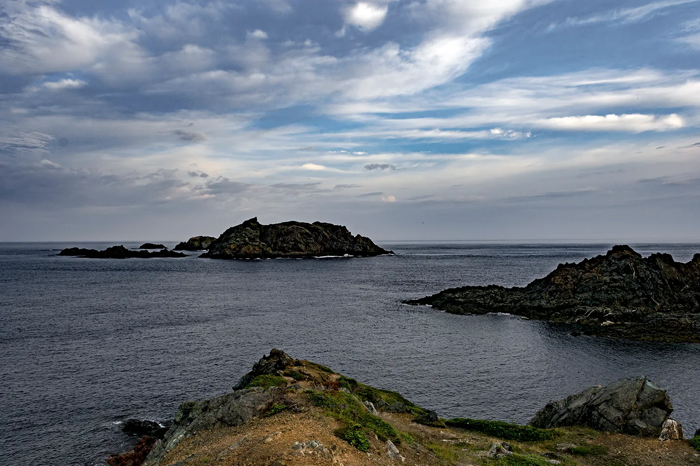 Twillingate 45