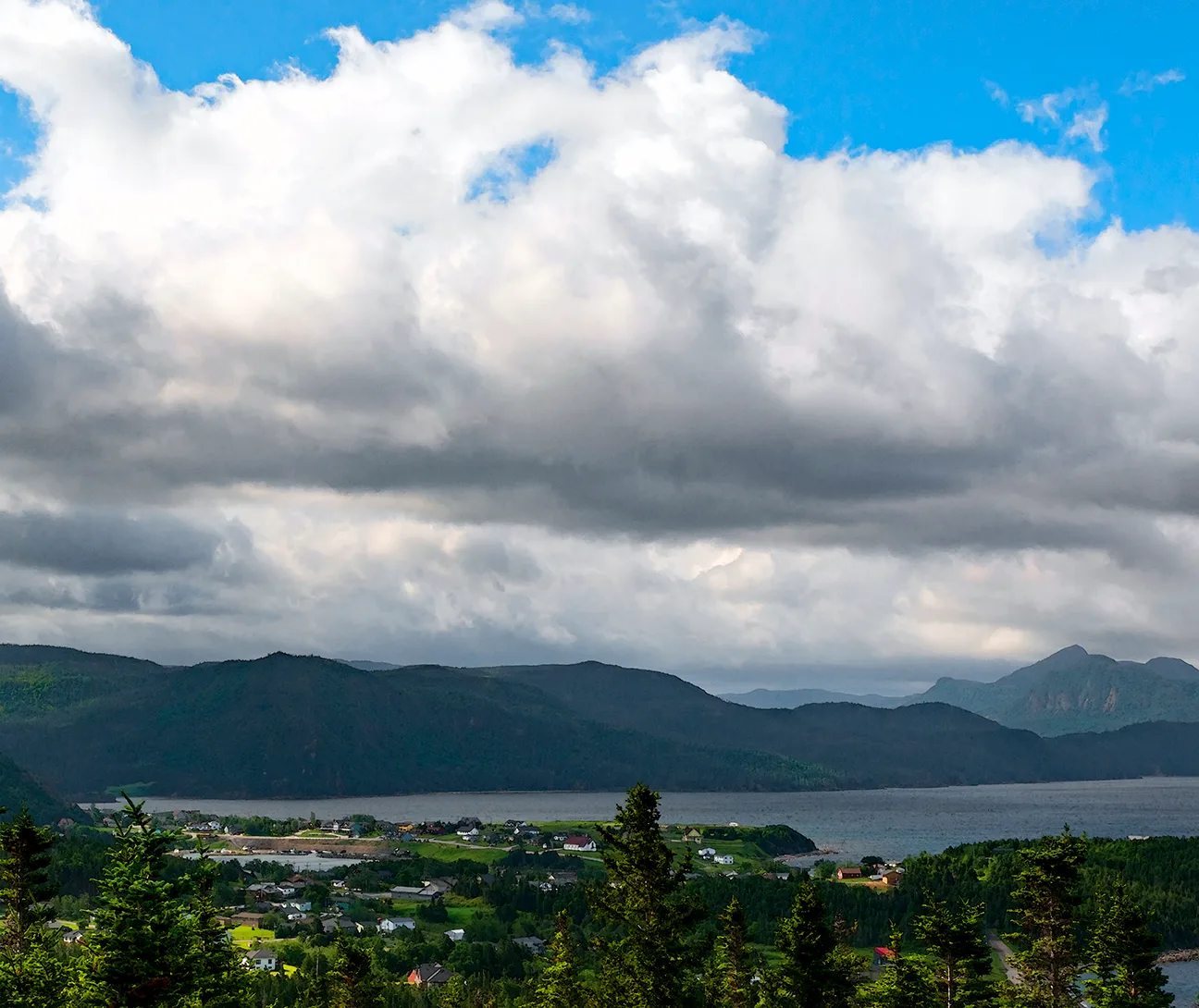 Newfoundlandwestcoast 20