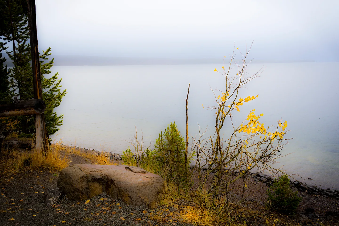 Yellowstone Fall Morn