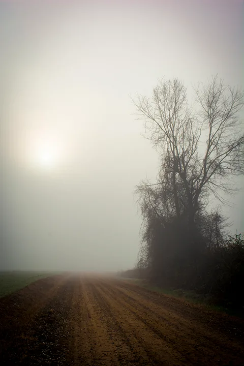 Fanniesloan 2015 Fog 3